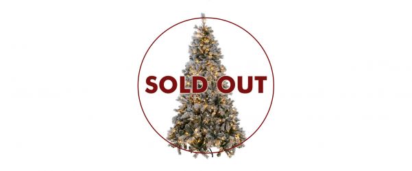 Brookfield Flocked Pre-Lit 7Ft Christmas Tree